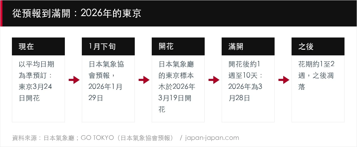 從預報到滿開:2026年的東京