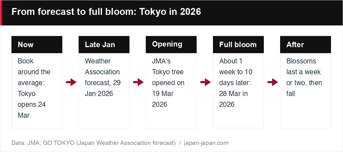 From forecast to full bloom: Tokyo in 2026
