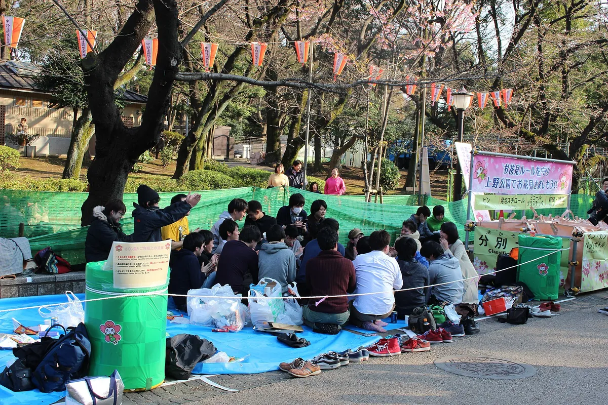 People sitting on blue tarps under cherry trees and strings of pennant flags in Ueno Park, Tokyo