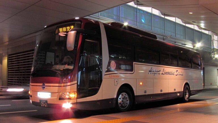 A dark red and cream Airport Limousine bus with a Haneda Airport destination sign, parked at a terminal canopy at night