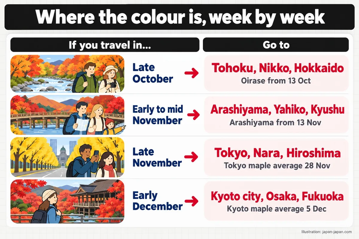 Where the colour is, week by week. If you travel in…. Go to. Late October. Tohoku, Nikko, Hokkaido. Oirase from 13 Oct.