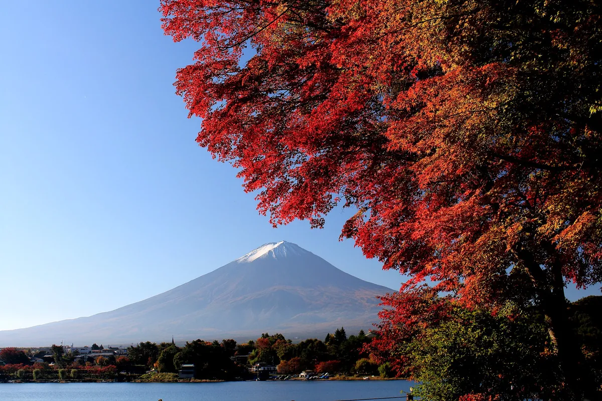 Red maple leaves framing snow-capped Mount Fuji seen across Lake Kawaguchiko