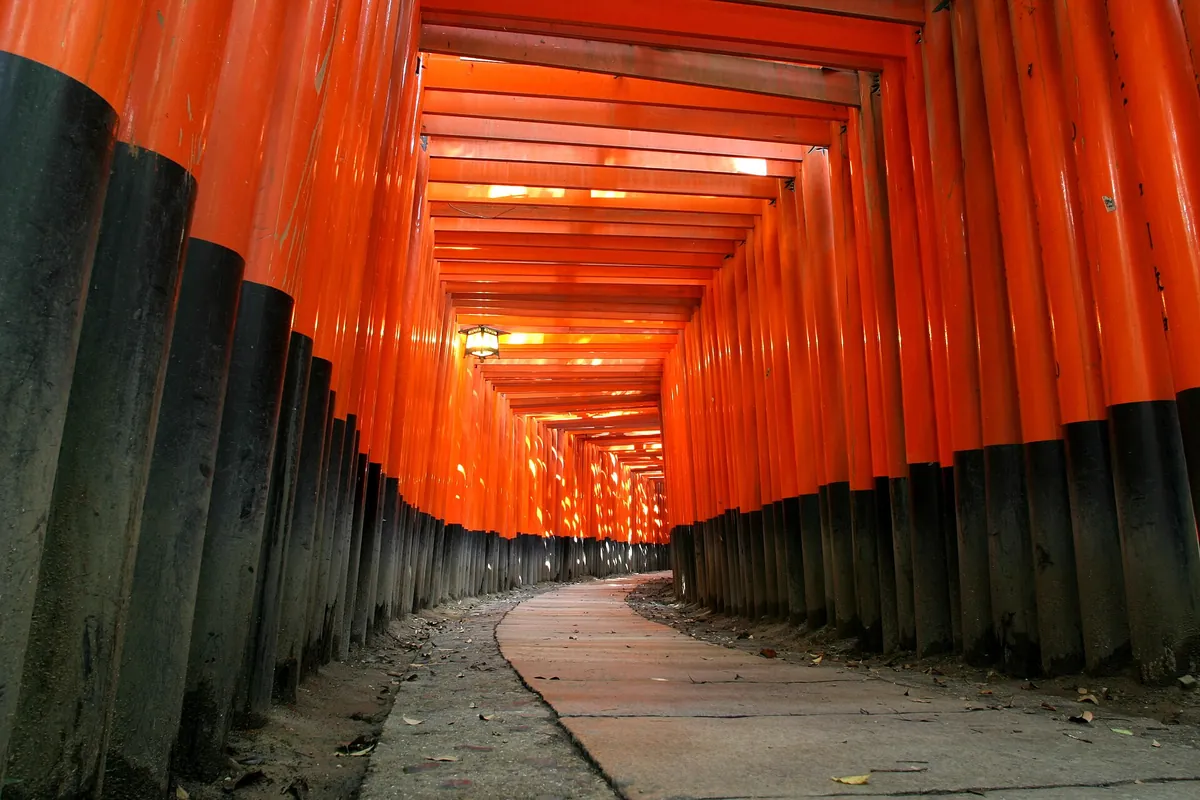 A tunnel of orange torii gates with black bases at Fushimi Inari Shrine in Kyoto, leading into the distance