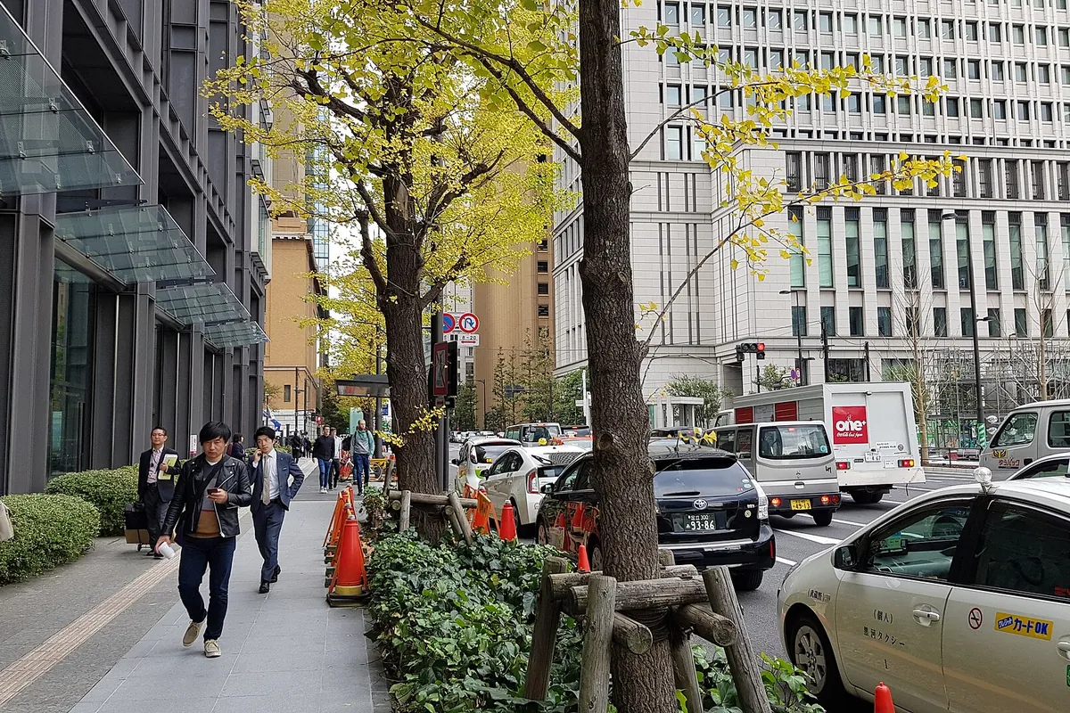 Ginkgo trees with yellow leaves lining a Chiyoda street in Tokyo with office buildings, pedestrians, and taxis
