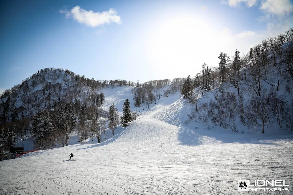 A skier descending a snowy run surrounded by trees at Furano Ski Resort
