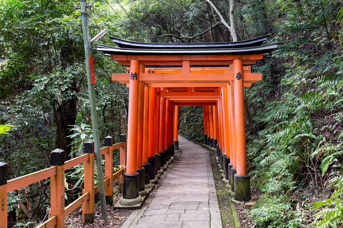 A path lined with red torii gates leading through a forest at Fushimi Inari Taisha in Kyoto