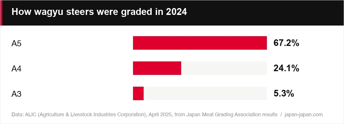 How wagyu steers were graded in 2024