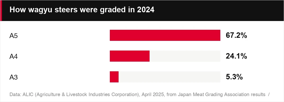 How wagyu steers were graded in 2024