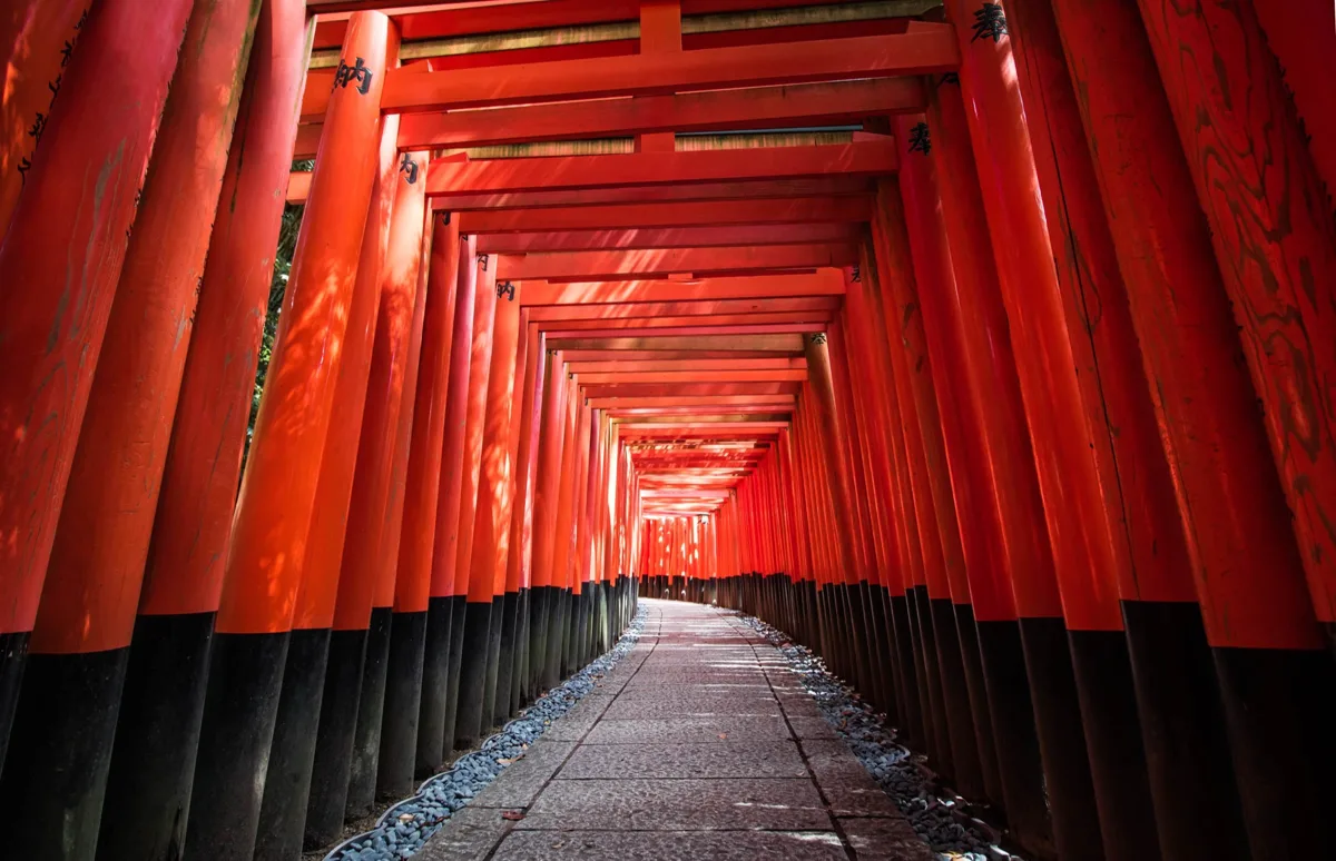 A tunnel of red torii gates (Senbon Torii) at Fushimi Inari Taisha in Kyoto, with no people on the path, in 2022