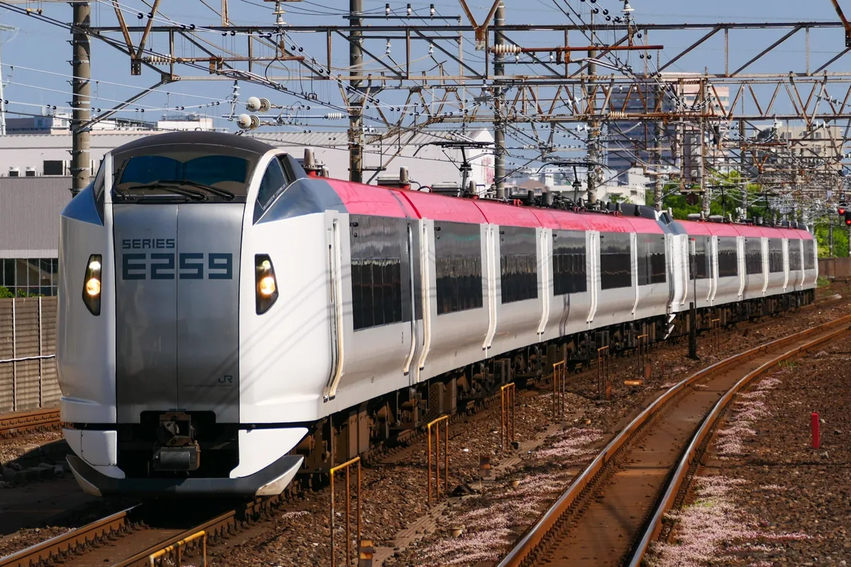 A JR East E259 series Narita Express train with SERIES E259 written on the front, in 2024