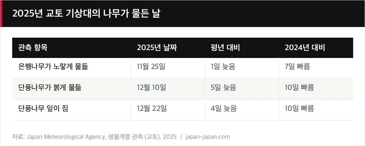 2025년 교토 기상대의 나무가 물든 날