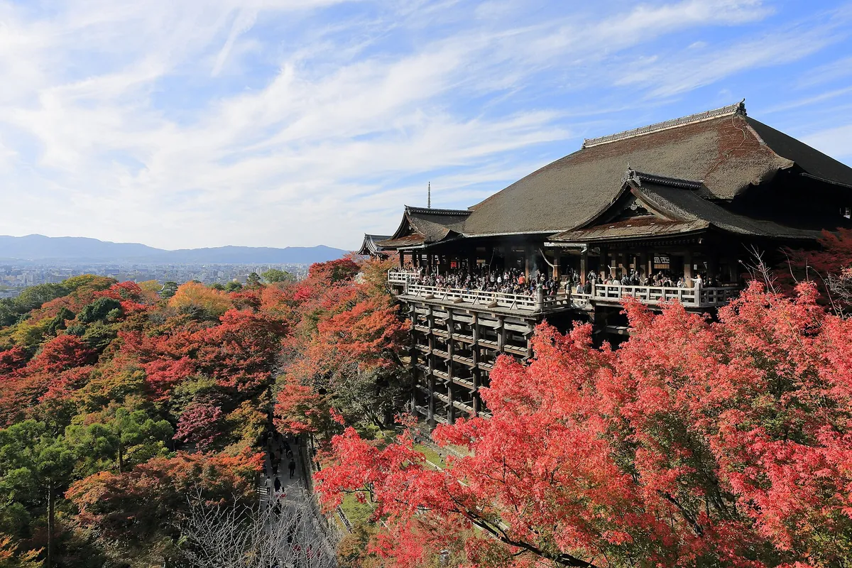 The crowded wooden stage and main hall of Kiyomizu-dera temple in Kyoto, surrounded by red autumn leaves