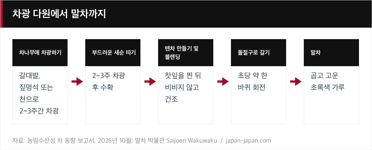 차광 다원에서 말차까지