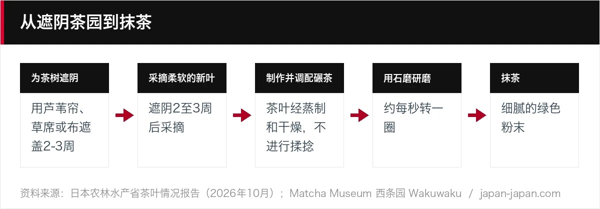 从遮阴茶园到抹茶