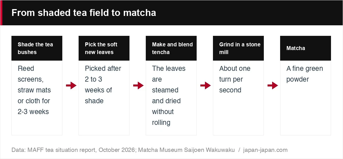 From shaded tea field to matcha