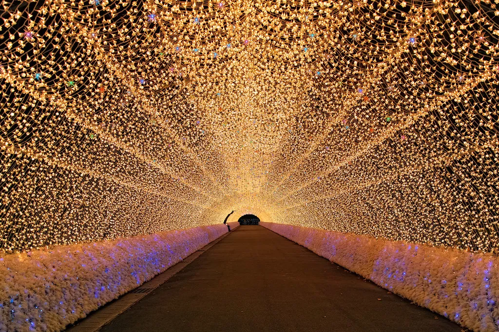 なばなの里で人が歩く、暖かな金色の光のトンネル