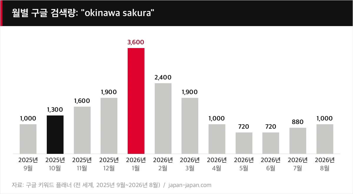 월별 구글 검색량: "okinawa sakura"