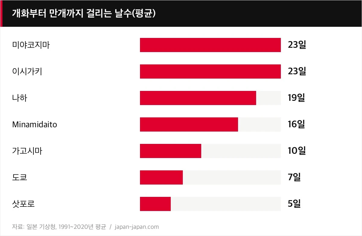 개화부터 만개까지 걸리는 날수(평균)