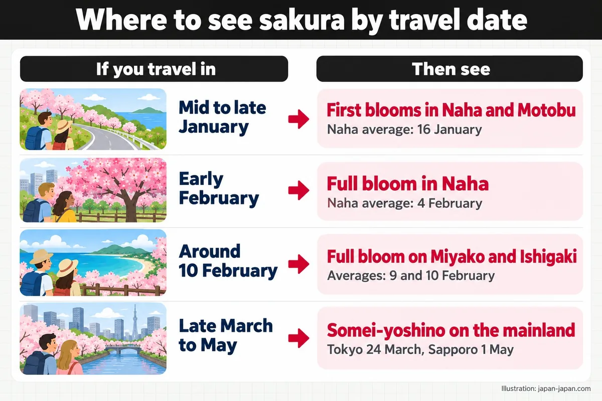 旅行の日程別、桜が見られる場所。この時期に旅行するなら。こちらを見てください。1月中旬から下旬。那覇と本部で最初の花が咲く。
