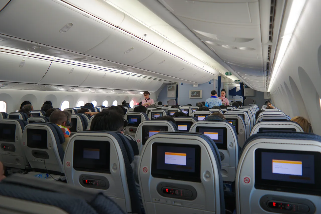 Economy cabin of an ANA Boeing 787 with overhead bins and seatback screens