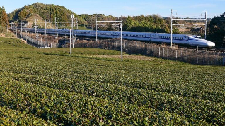 A white N700S Shinkansen train running past rows of green tea bushes with wooded hills behind in Kikugawa, Shizuoka