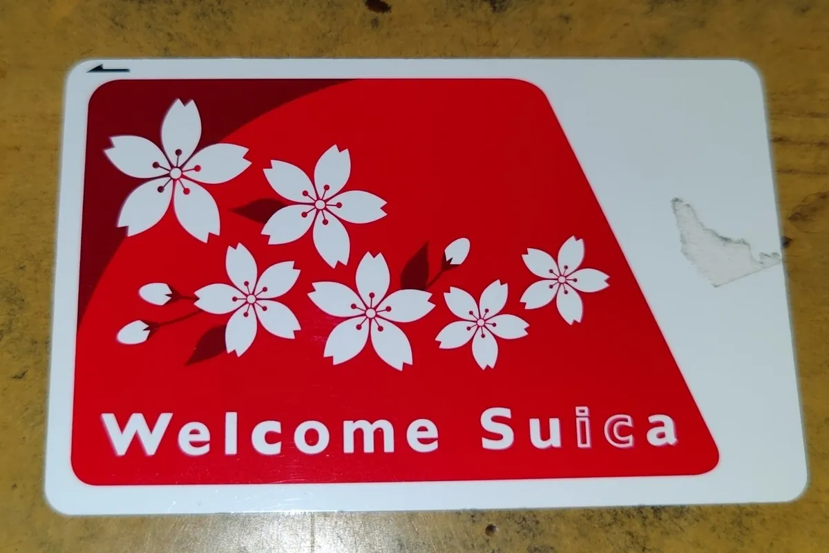 A red Welcome Suica IC card with a white cherry blossom design on a wooden table
