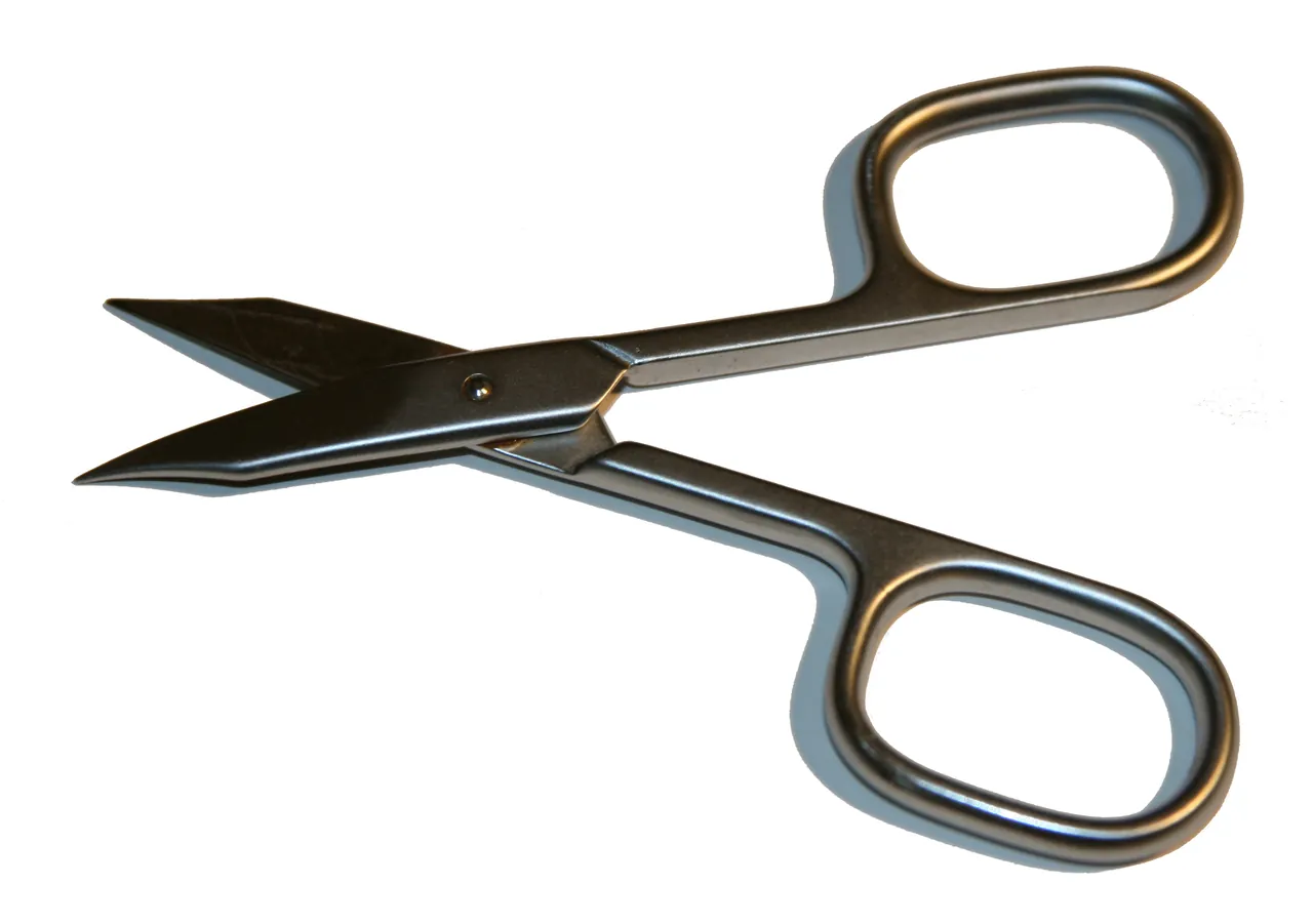 Small nail scissors with curved blades