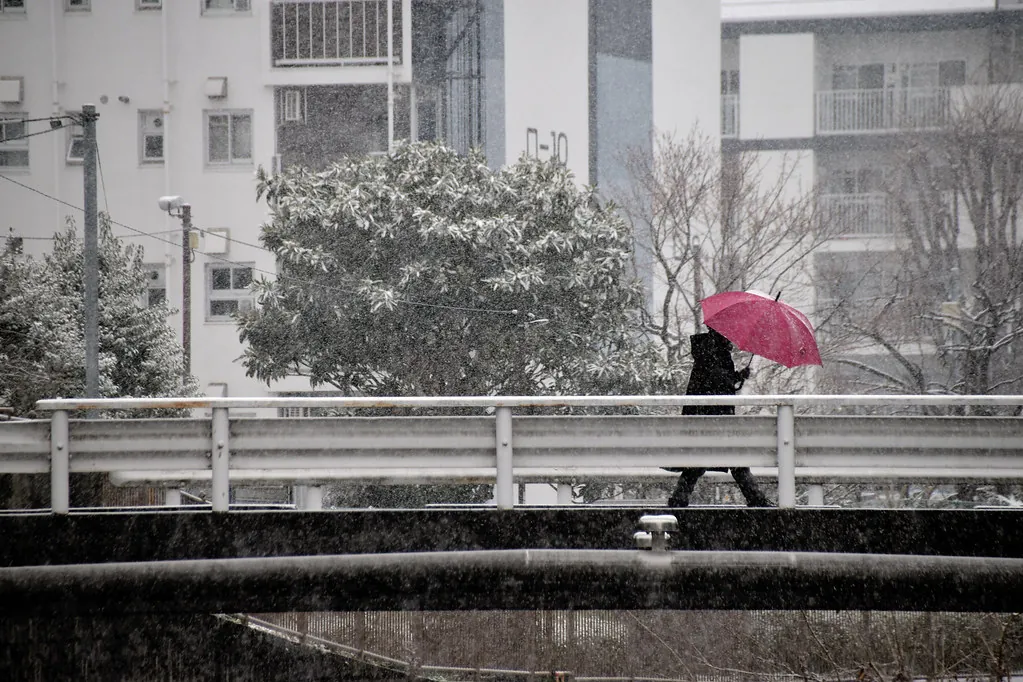 A person crossing a snowy bridge with a red umbrella as snow falls in Tokyo, with apartment buildings in the background