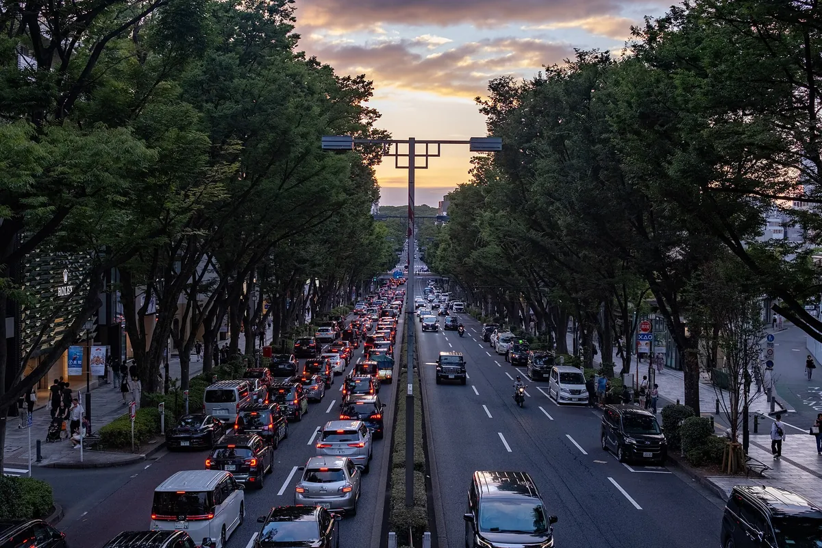 Omotesando Avenue in Tokyo at dusk, lined with trees, with cars and motorbikes on the road and pedestrians on the sidewalk