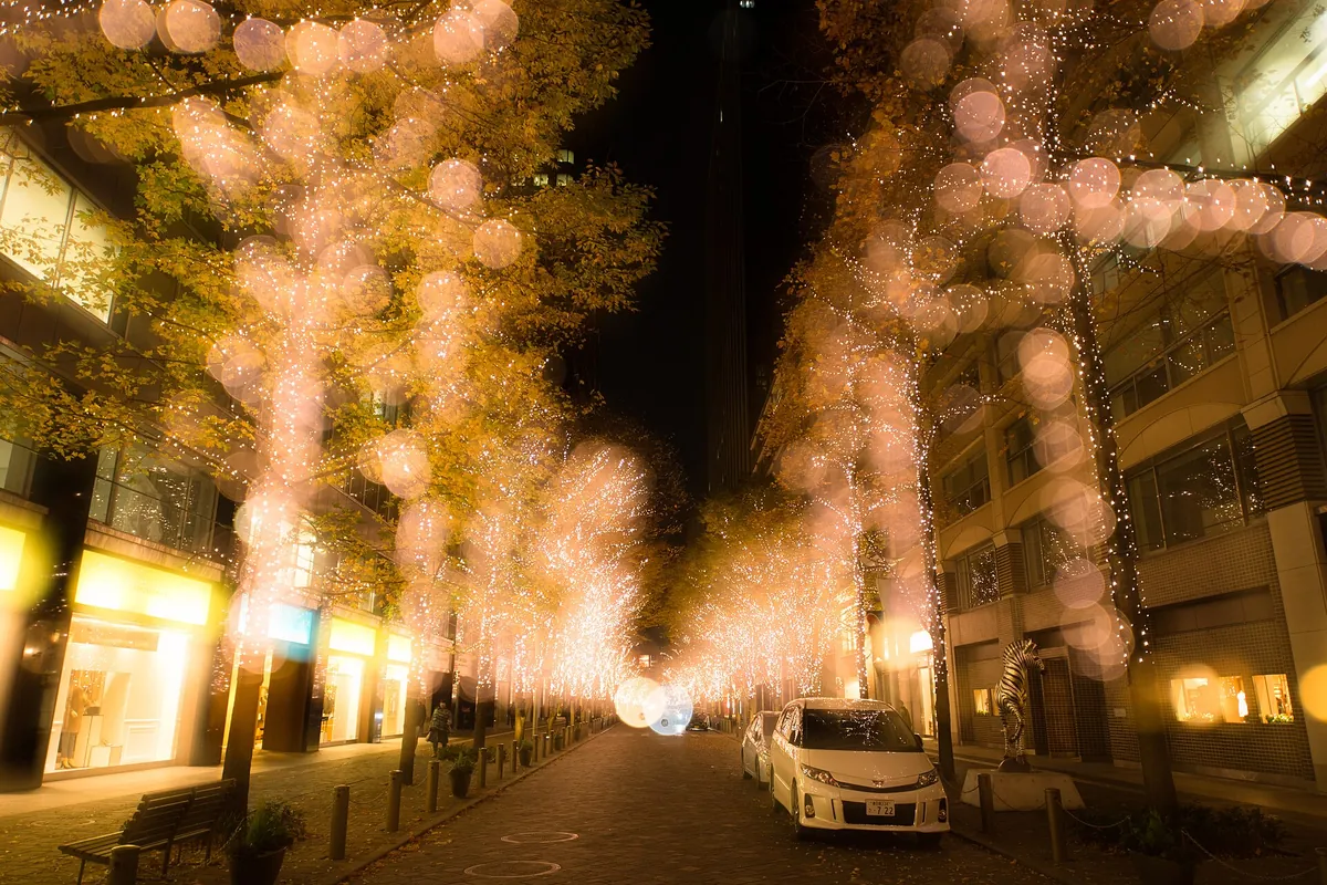 A tree-lined street in Marunouchi, Tokyo illuminated with light decorations at night, with a car parked along the road