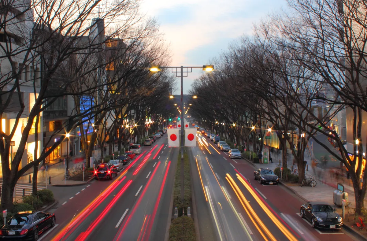Omotesando in Tokyo in winter, with bare zelkova trees